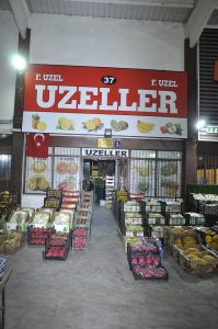 A37 (2)