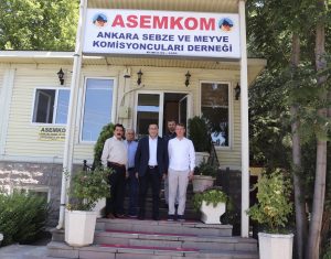 Ankara hal (1)
