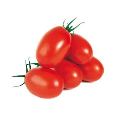 yumurta domates