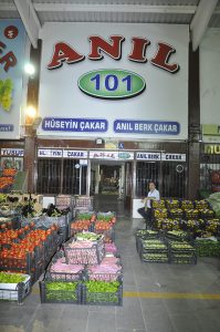 B101 (2)