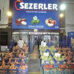 NO. 116 – SAYIM SEZER